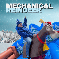 Mechanical Reindeer - S19.10