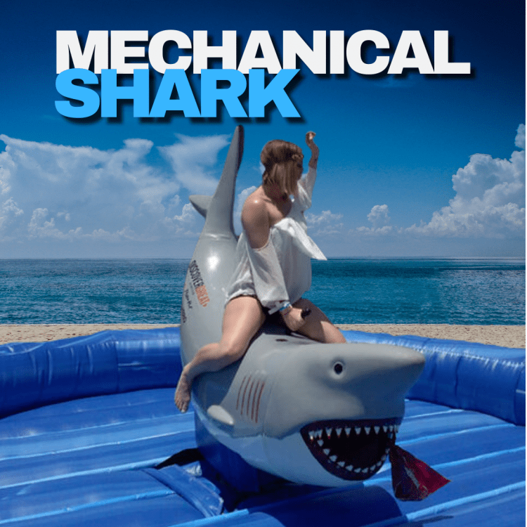 Mechanical Shark - S19.10
