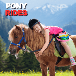 Pony Rides*