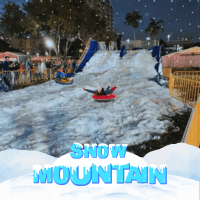 Snow Slide Rental