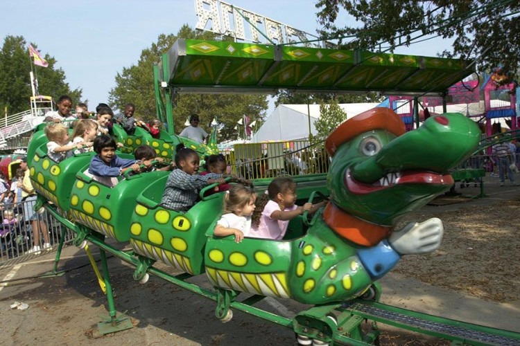 Go Gator Coaster Rental*