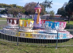 Tea Cup Ride