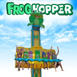 Frog Hopper Rental