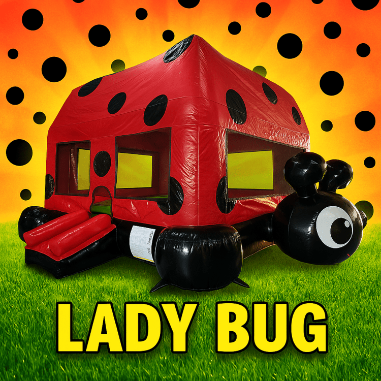 Lady Bug Bouncer - R113.15