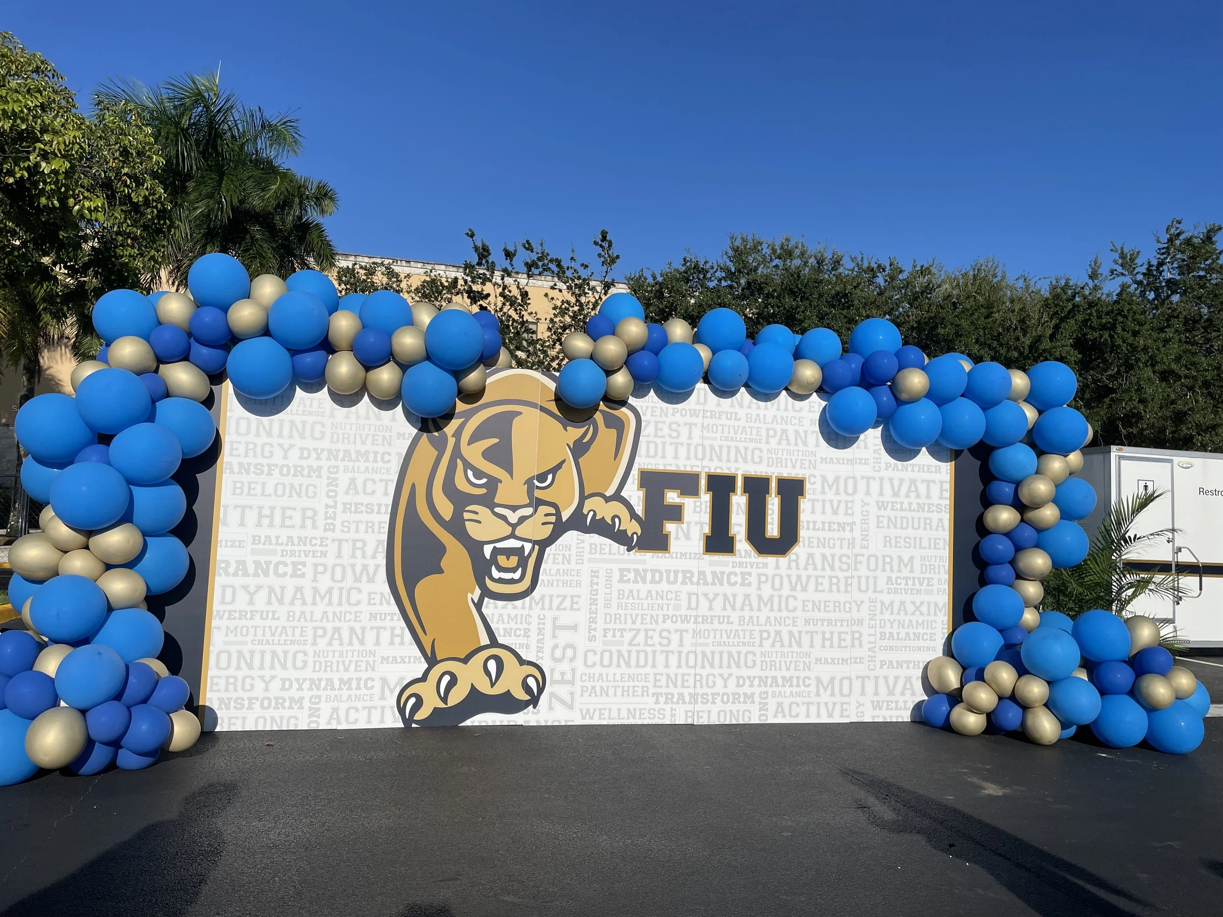 Balloon Arches and Decor