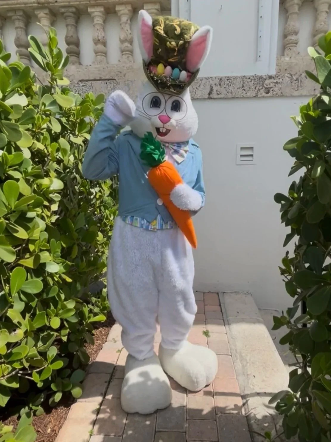 Easter Bunny