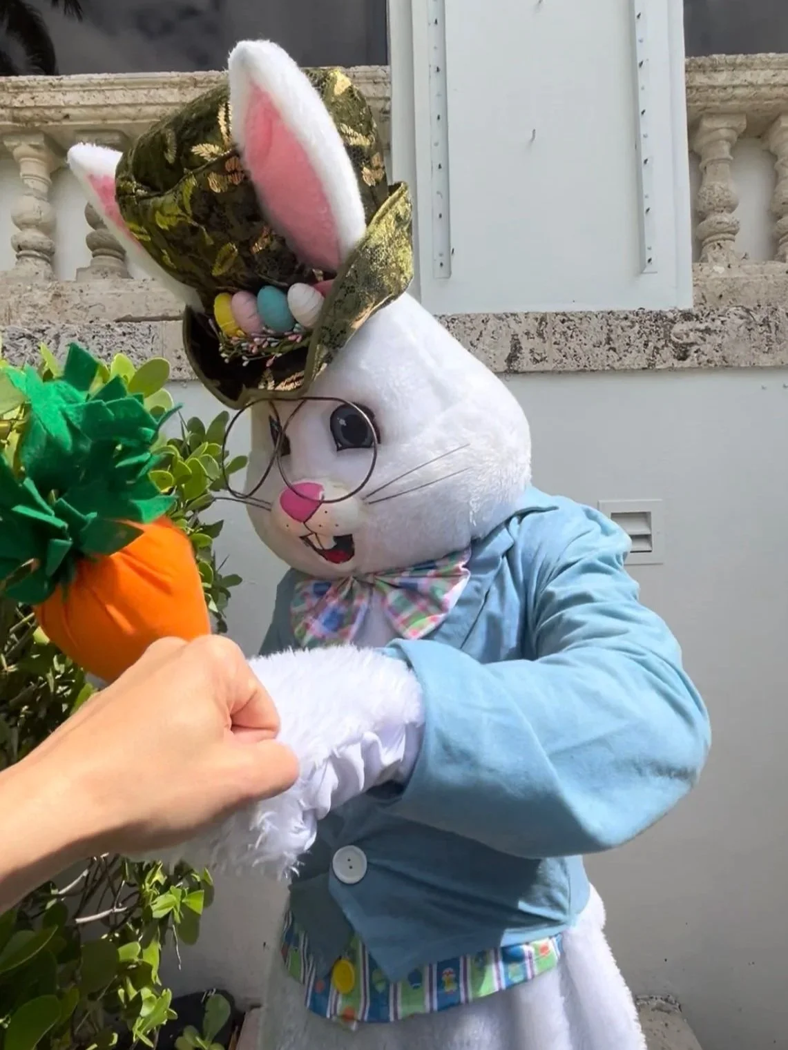 Easter Bunny