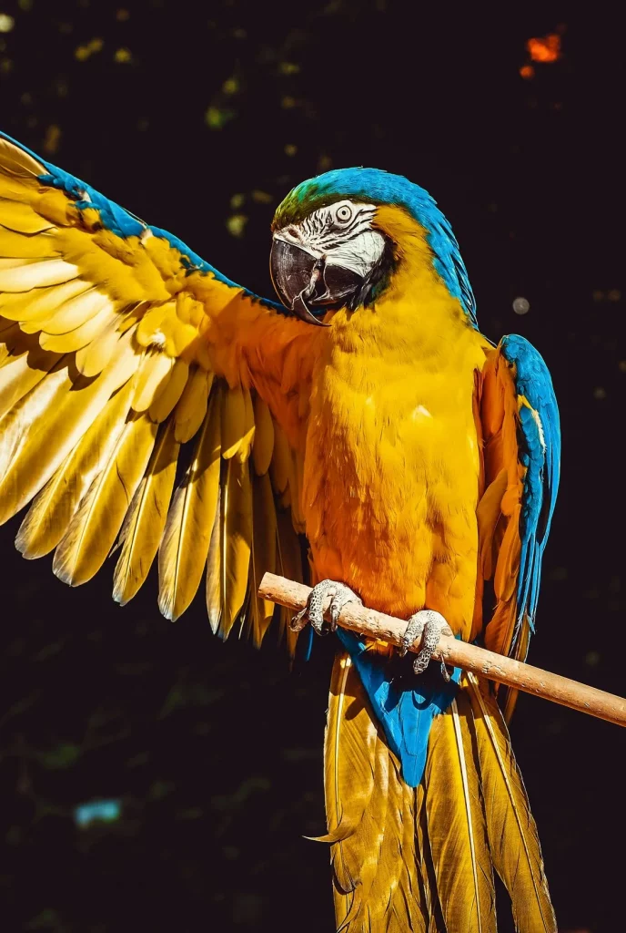 Exotic Animal Shows