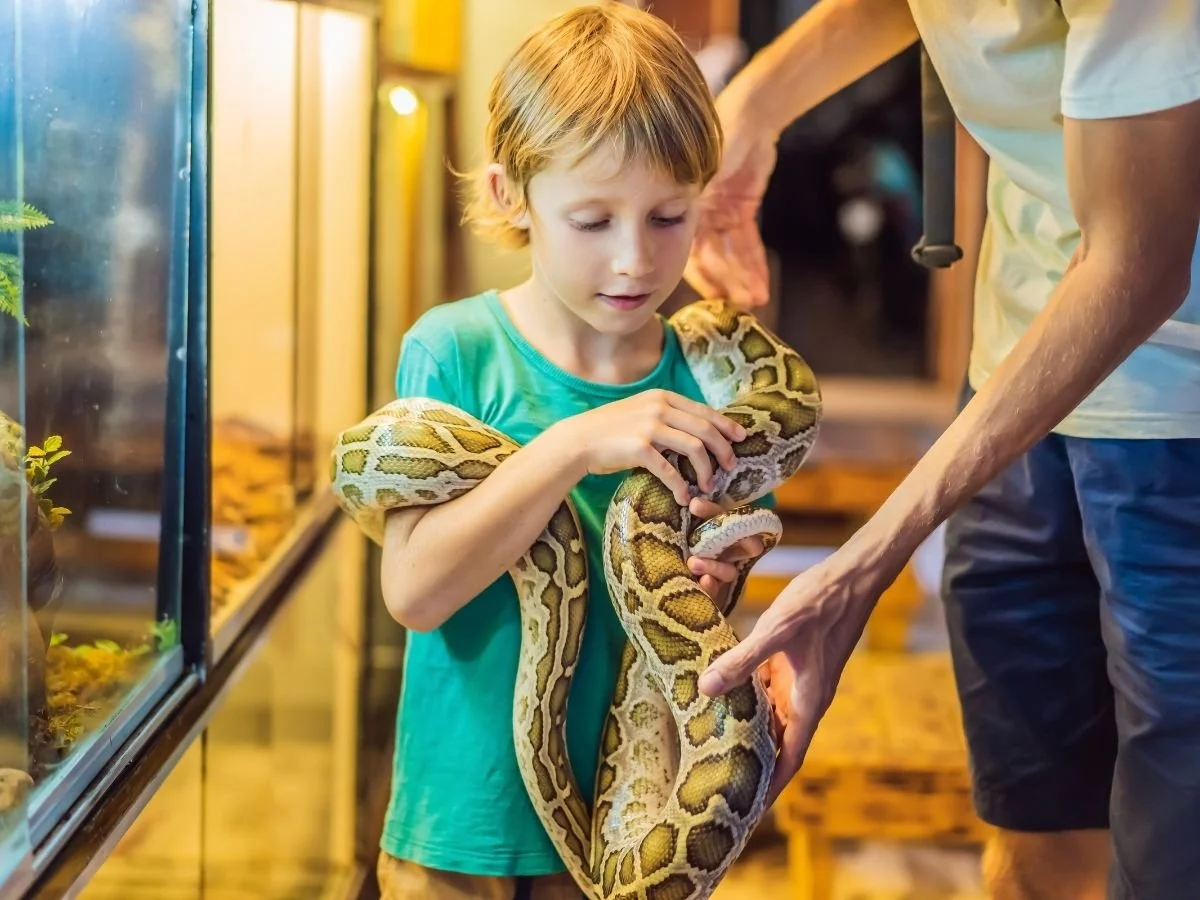 Exotic Animal Shows