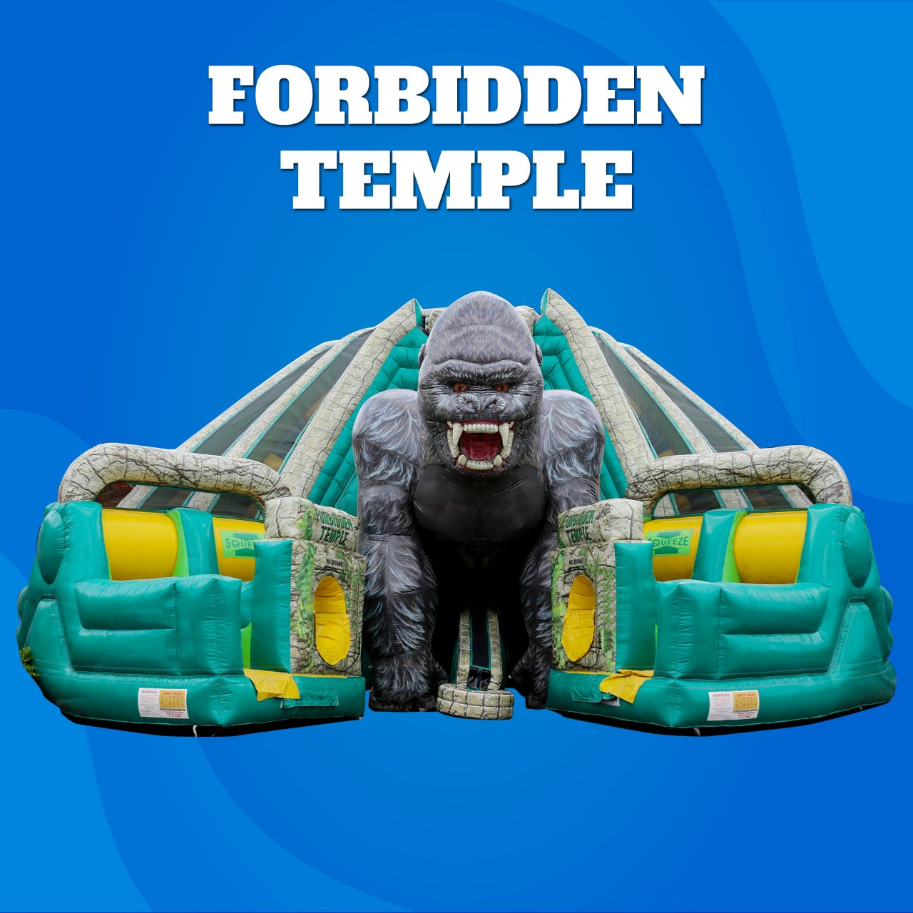 Forbidden Temple Dual Lane Slide - Event Max Florida